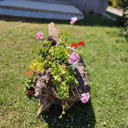 Villa Karolina Ohrid Luaran gambar